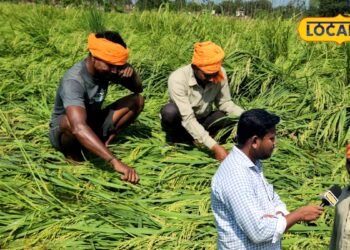 लोन लेकर फसल खड़ी की थी, अब परिवार कैसे चलेगा? 10 बीघा धान पानी में डूबा तो किसान की आंखों से छलक पड़ा दर्द