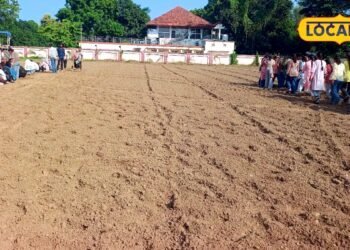 गोरखपुर यूनिवर्सिटी पूर्वांचल के किसानों के लिए पॉलीहाउस में तैयार होगा एग्जॉटिक सब्जियों के बीज, मिलेंगे अवसर