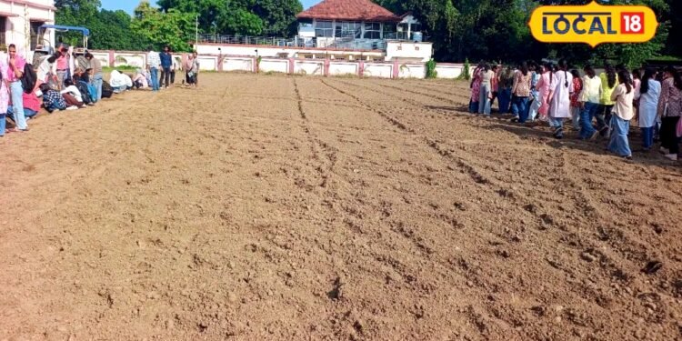 गोरखपुर यूनिवर्सिटी पूर्वांचल के किसानों के लिए पॉलीहाउस में तैयार होगा एग्जॉटिक सब्जियों के बीज, मिलेंगे अवसर