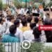 Singrauli Farmer Death: किसान की मौत के बाद पावर ग्रिड कंपनी पर सवाल, कांग्रेस नेताओं पर केस के विरोध में प्रदर्शन, मध्य प्रदेश वीडियो न्यूज