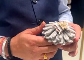 ‘50,960 हीरे, 450 ग्राम सोना…’ मेरठ की इस अनोखी अंगूठी ने बनाया वर्ल्ड रिकॉर्ड, खासियत जानकर फटी रह जाएंगी आंखें
