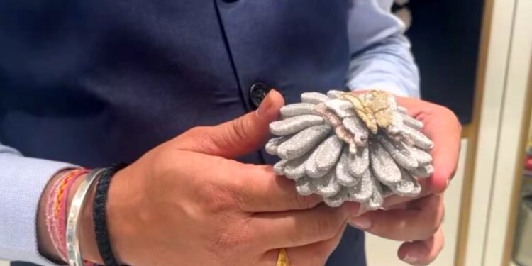 ‘50,960 हीरे, 450 ग्राम सोना…’ मेरठ की इस अनोखी अंगूठी ने बनाया वर्ल्ड रिकॉर्ड, खासियत जानकर फटी रह जाएंगी आंखें