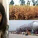 Belgium reactor Vessel | Kumbhi Sugar Mill
