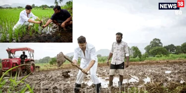 एक्टिंग में हो रहे फ्लॉप! क्या अब किसानी करेंगे वरुण धवन? हांथ में थामा फावड़ा मजदूरों संग खेत में लगाते दिखे धान