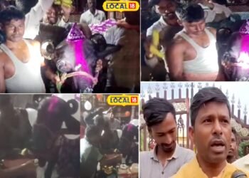 Ajab Gajab : धूमधाम से मनाया भैंस का जन्मदिन, केक-केला की दावत, वीडियो वायरल