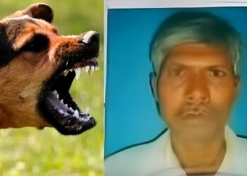 पागल कुत्ते के काटने के बाद मानसिक हालत बिगड़ी, काली मां के स्थान पर बुजुर्ग ने बांके से काटा गला