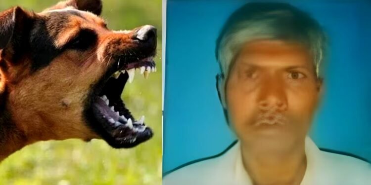 पागल कुत्ते के काटने के बाद मानसिक हालत बिगड़ी, काली मां के स्थान पर बुजुर्ग ने बांके से काटा गला