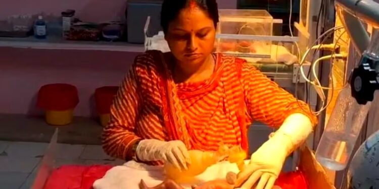 बीच सड़क महिला ने 2 जुड़वा बेटियों को दिया जन्म, अब अस्पताल में डॉक्टर कर रहे इलाज