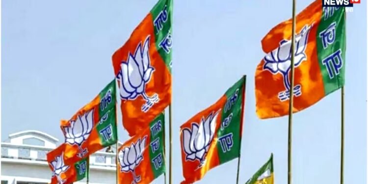 दलित वोट बैंक पर BJP का बड़ा दांव, दलित मोर्चा की 43 सदस्यीय प्रदेश टीम और 6 क्षेत्रीय अध्यक्षों का ऐलान, देखें पूरी लिस्ट