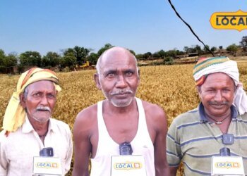 Farmer Opinion: गेहूं की MSP बढ़ने पर क्या बोले किसान? किसी ने बताया राहत तो किसी ने और बढ़ोतरी की रखी मांग