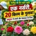 Rose Gardening Tips: सर्दियों में छत पर खिलेंगे रंग-बिरंगे गुलाब, अक्टूबर में पौधे लगाने का है अच्छा समय, जानें सही तरीका