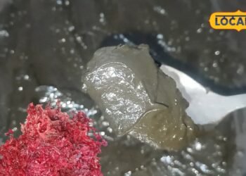 Hair Care: सफेद बालों को छिपाने के लिए नहीं खरीदना पड़ेगा महंगा हेयर कलर, मेहंदी में मिलाकर लगाएं ये 5 चीजें