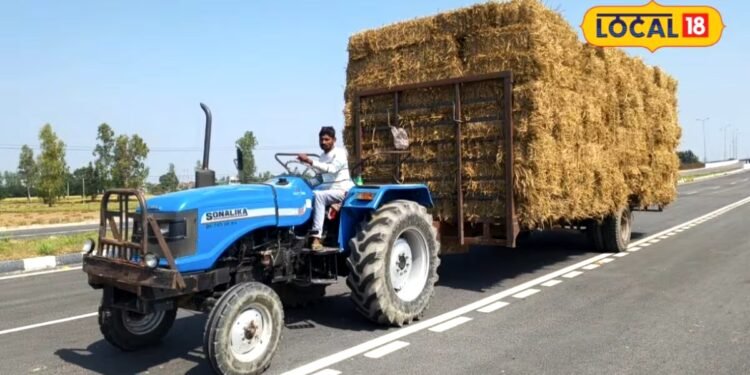 धान की पराली अब कचरा नहीं, बनेगी कमाई का जरिया, किसान इस तरह बेचकर कमा सकते हैं बंपर मुनाफा