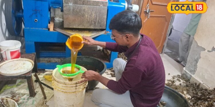 business idea | business success story | government scheme | पढ़ाई के बाद नौकरी ना मिले तो क्या करें? आगरा के इस युवा से सीखिए बिजनेस प्लान