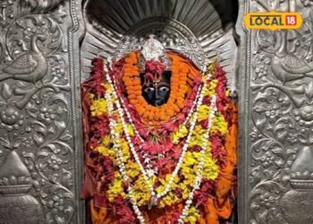 नवरात्रि में जरूर करें आजमगढ़ के इन देवी स्थानों के दर्शन, यहां माथा टेकने मात्र से दूर हो जाते हैं सारे कष्ट