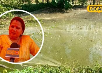 Business Idea: मुरादाबाद की प्रियंका तीन तालाब में 6 मछली प्रजाति का करती हैं पालन, पट्टे पर लेकर शुरू किया काम, हो रही बंपर कमाई