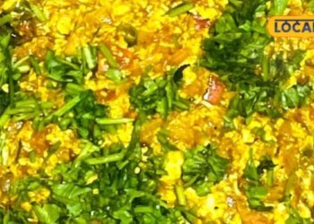 Paneer Bhurji : घर पर झटपट बनाएं पनीर की भुर्जी, 10 मिनट में हो जाएगी तैयार, ये रहा तरीका