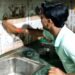 Tips and Tricks : घर पर तैयार करें ये देसी लिक्विड, इस्तेमाल करते ही चमकने लगेगा टाइल्स, ये रहा बनाने का तरीका
