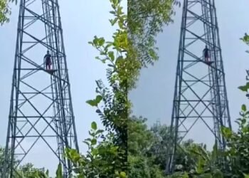 Viral Love | Love Story | Tower Love | Premi-Premika | प्यार इनसे तो शादी भी…, 50 फीट ऊंचे मोबाइल टावर पर चढ़ी प्रेमिका, सिंदूर लेकर पहुंचा प्रेमी