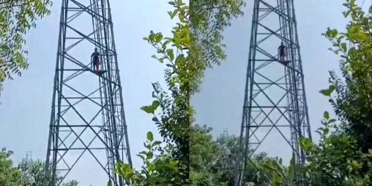 Viral Love | Love Story | Tower Love | Premi-Premika | प्यार इनसे तो शादी भी…, 50 फीट ऊंचे मोबाइल टावर पर चढ़ी प्रेमिका, सिंदूर लेकर पहुंचा प्रेमी