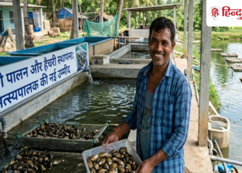 Hindustan Special: मोती पालन और हैचरी स्थापना ने मत्स्यपालक को दी उम्मीद, बजट ने रोकी राह, Uttar-pradesh Hindi News