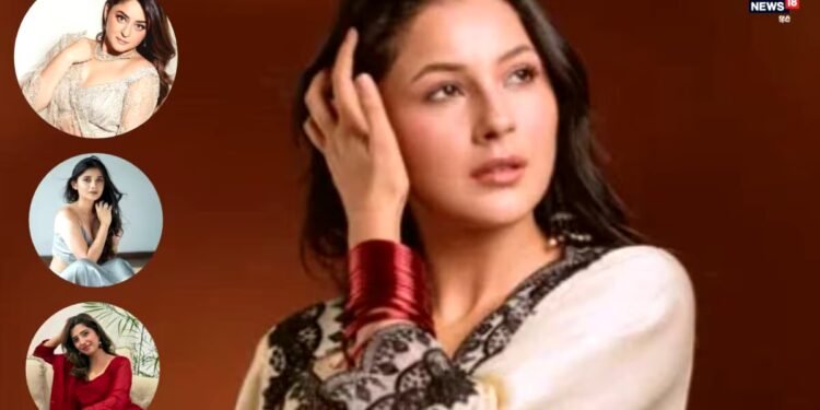 Bigg Boss 20: लव गिल, आम्रपाली, कनिका या माही, किसको सपोर्ट कर रही हैं शहनाज गिल? खुलकर बता दी वजह