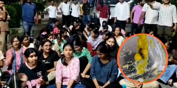 ऐसा खाना कैसे खाएं? रात 10 बजे सड़क पर बैठीं लखनऊ यूनिवर्सिटी की छात्राएं, खाने को लेकर फूटा गुस्सा