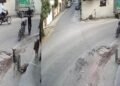 लखनऊ में स्ट्रीट डॉग को गोली मारने का आरोप, CCTV में कैद हुई घटना, पुलिस जांच में जुटी